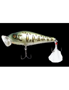 Shaman color Daddy Bass