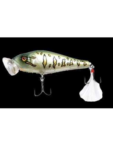 Shaman color Daddy Bass