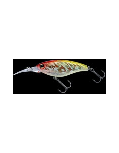 IS 200 color 76 Crown Tiger