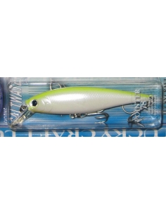 Pointer 78 color Chart Back