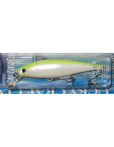 Pointer 78 color Chart Back