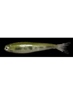 Alevín color Bass