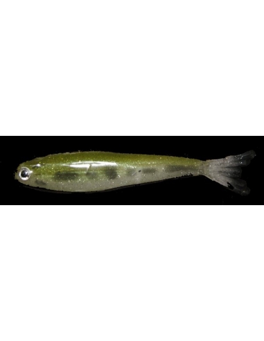 Alevín color Bass