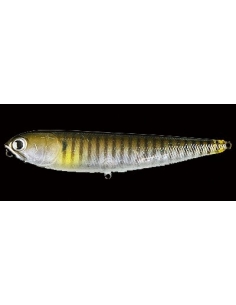 Sammy 100 color Ghost Baby Blue Gill