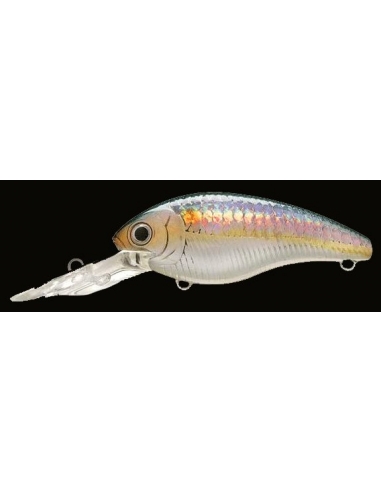 CB-200 color MS American Shad