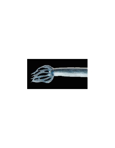 Hula Swimmer 7ct color Blueback herring body / Blue smoke w/ hol