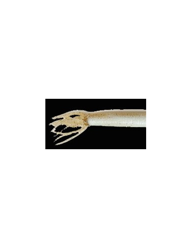 Hula Swimmer 7ct color Brown Shad/Lt Brown Bk
