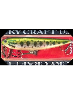 Sammy 128 color Aurora Bass