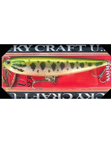 Sammy 128 color Aurora Bass