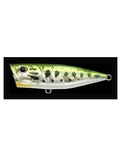 G-Splash 80 color Aurora Bass