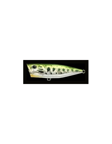 G-Splash 80 color Aurora Bass