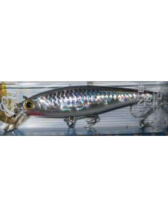 Pointer 78 color MS Anchovy