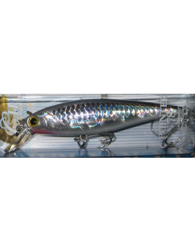 Pointer 78 color MS Anchovy