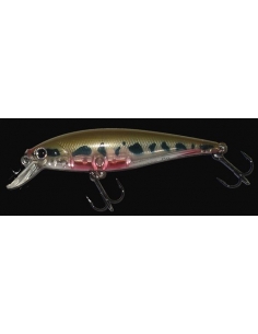 Pointer 78 color Ghost Vairon