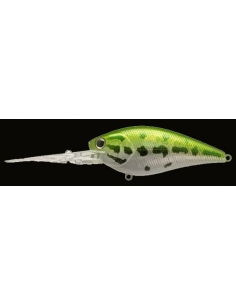 Flat CB D20 color Aurora Bass