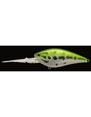 Flat CB D20 color Aurora Bass