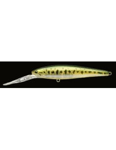 Staysee 90 color Aurora Bass
