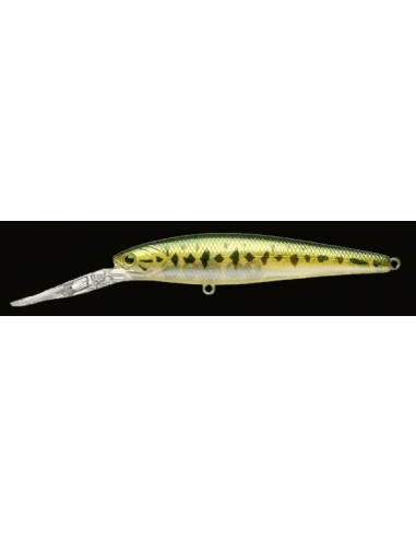 Staysee 90 color Aurora Bass