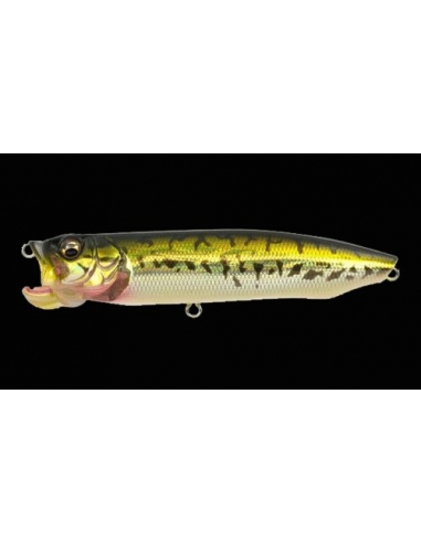 Nuevo X-Pod Jr. color GG Bass