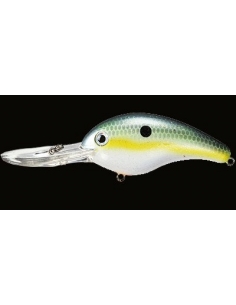 5XD color Chart Sexy Shad