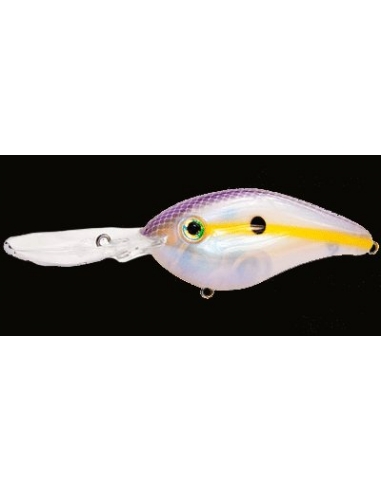 6XD color Chart Shad
