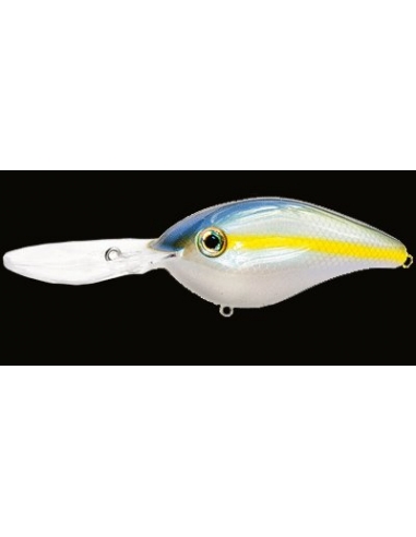 6XD color Sexy Herring