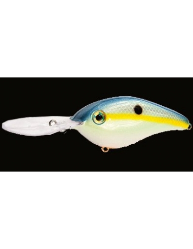 6XD color Chart Sexy Shad