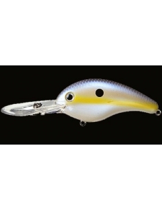 5XD color Chart Shad