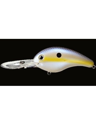 5XD color Chart Shad