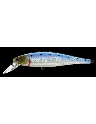 Pointer 100 SW color MS Metallic Sardine