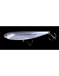 .Sammy 100 color Spanish Alburno