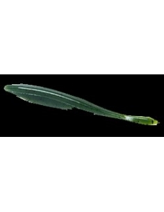 5" D-Shad color Watermelon Seed