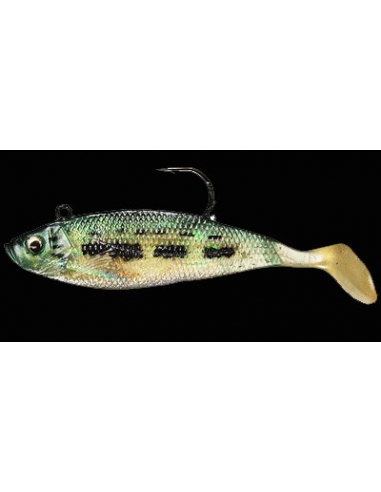 WildEye Swim Shad 4" (100mm) color BB