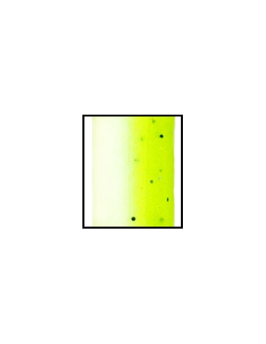 Senko 4" color 909 chartreuse shad laminado