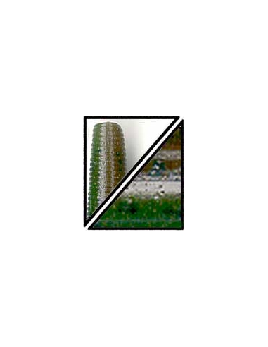 Senko 4" color 912 green pumkin watermelon laminado