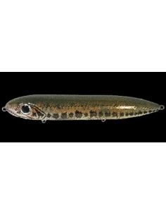 Super Spook color Florida Bass
