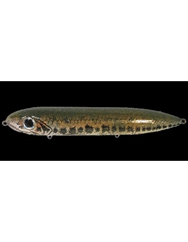 Super Spook color Florida Bass