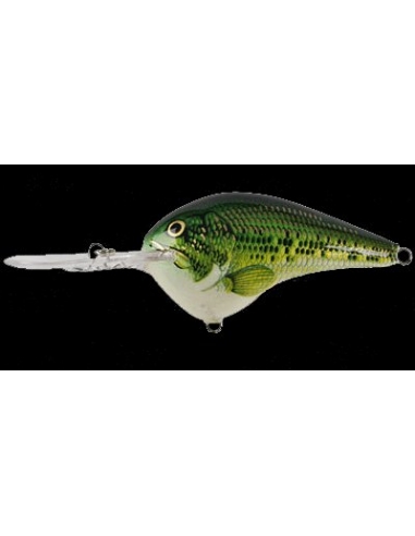 DT 10 color Baby Bass