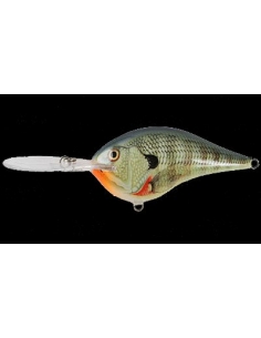 DT 10 color Gill