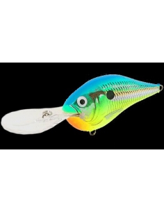 DT 10 color Parrot