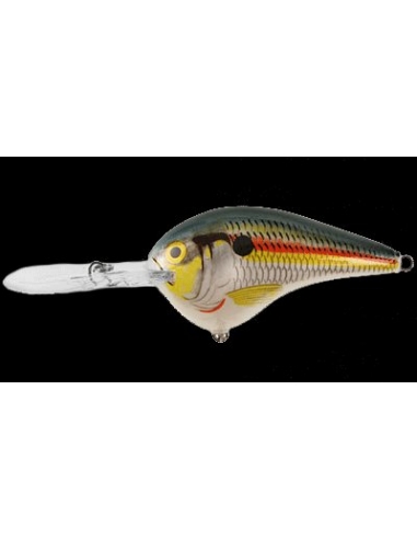 DT 16 color Shad