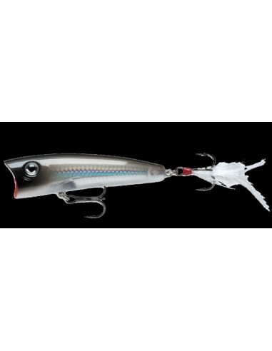 X-Rap Pop color Grey Ghost