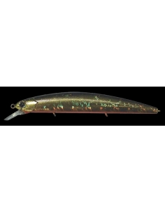 Rudra 130 SP color Crystal Gold