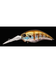 E.G. Wildhunch color Baby Gill