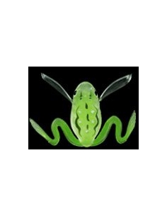 Living Kello color Rain Frog