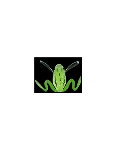 Living Kello color Rain Frog