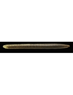Salty Core Stick 5,5" color Green Pumpkin