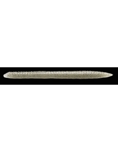 Salty Core Stick 5,5" color Natural Shad