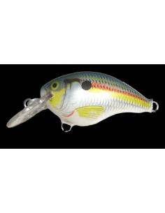 DT 04 color Shad