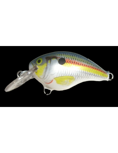 DT 04 color Shad
